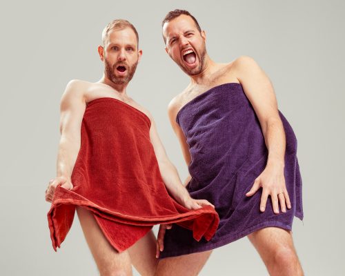Diva's op Stal – Een tragikomische revue door twee heren