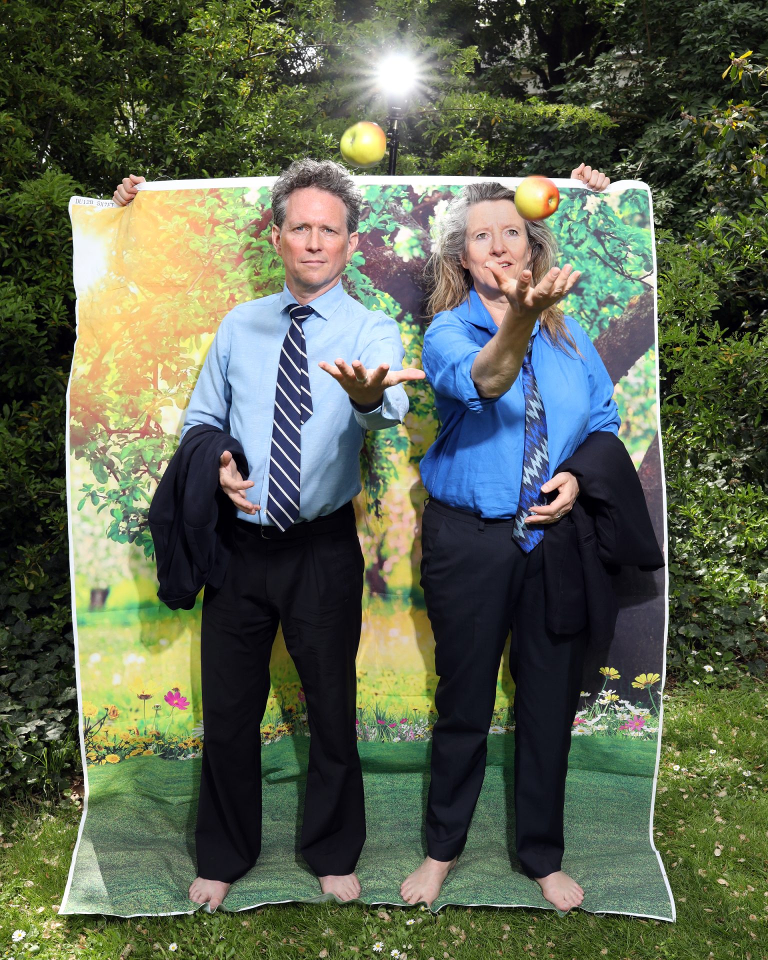 The Sustainable Sunshine Company