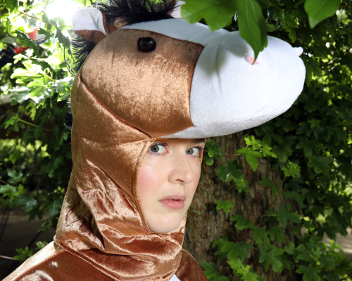 Johanna Hagen – Het tragikomische verhaal van de shetlandpony die vooralsnog niet over het hek durft te springen (7+)