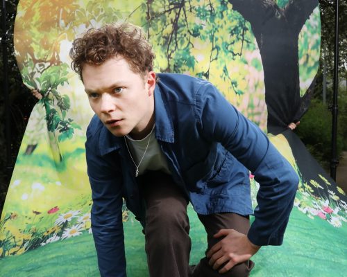 Thor Braun | Zaal 3 – Kikkers in de Amazone zijn altijd groener